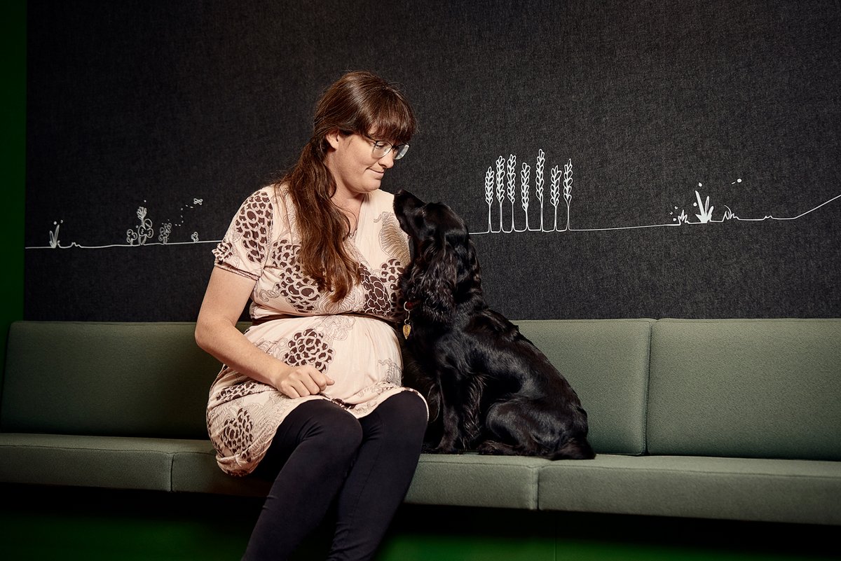 Er hunde en hjælp? Hvordan hunde påvirker os i forskellige situationer.